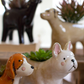 Set of 5 Ceramic Dog Planters by Kalalou