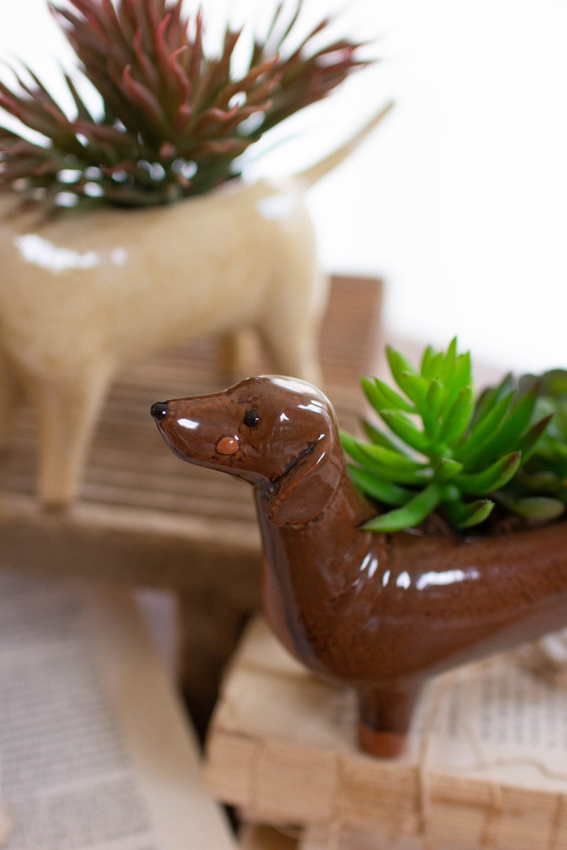 Set of 5 Ceramic Dog Planters by Kalalou