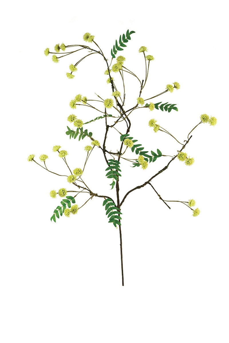 Botanica #3519 by Kalalou